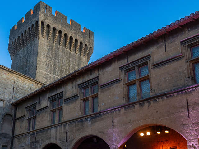 Un Château dans les Vignes