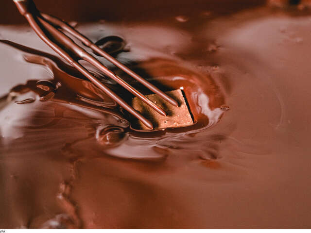 Séminaire, atelier et cohésion à la chocolaterie Castelain