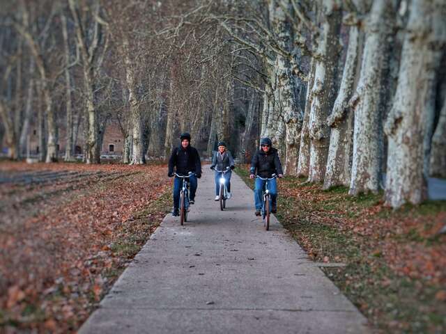 Balade à vélo électrique : la campagne aixoise et son vignoble