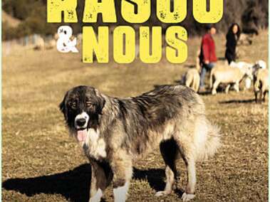 Rasco et nous - Au voisinage des chiens de protection des troupeau