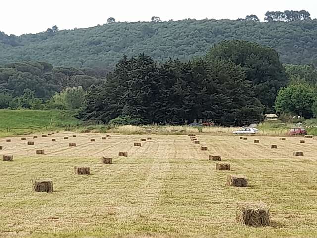 Les jardins d'Aurabelle