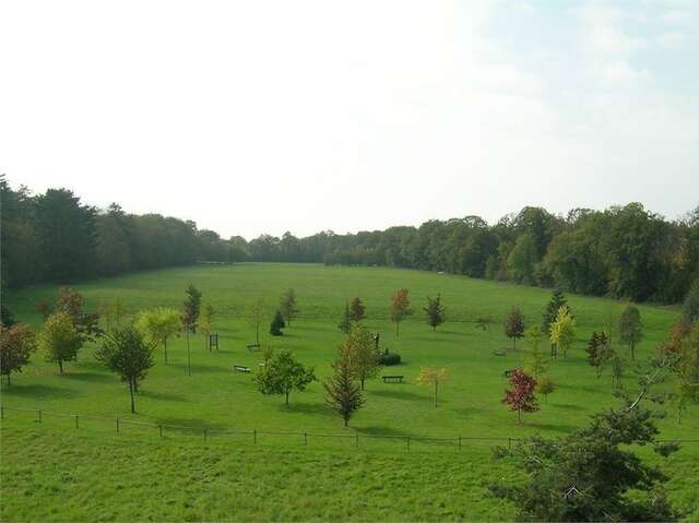 Mémorial National des Justes - "La Clairière des Justes"