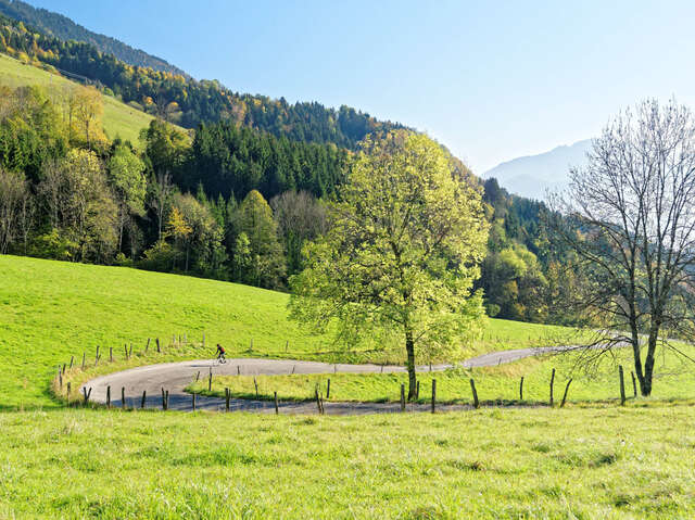 Cycling route: Col de la Forclaz south side (ascent via Montmin)