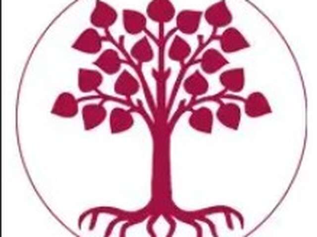 Palestine en éclats