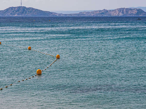 Stages d'apprentissage de la natation en mer