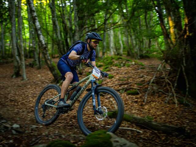 N°76 - Les jonquilles - Circuit Enduro - Espace VTT-FFC Massif des Bois Noirs