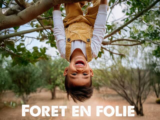 Forêt en Folie