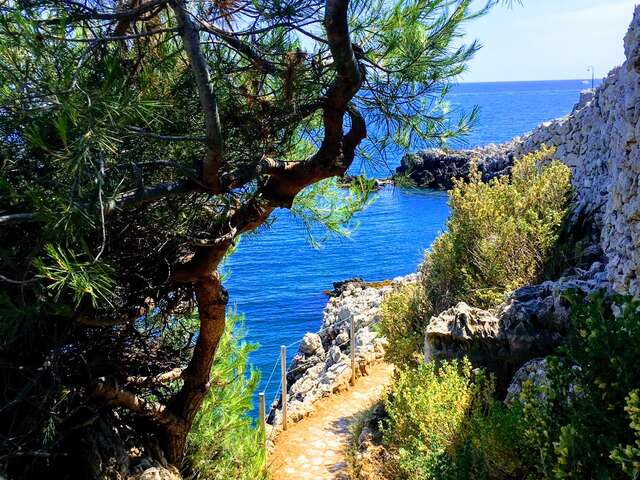 Sentier du littoral au cap d'Antibes (Tirepoil)