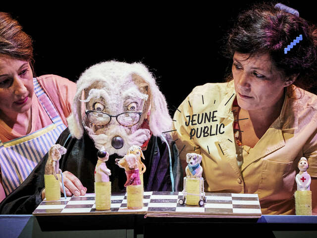 Monologue d’un chien bien coiffé