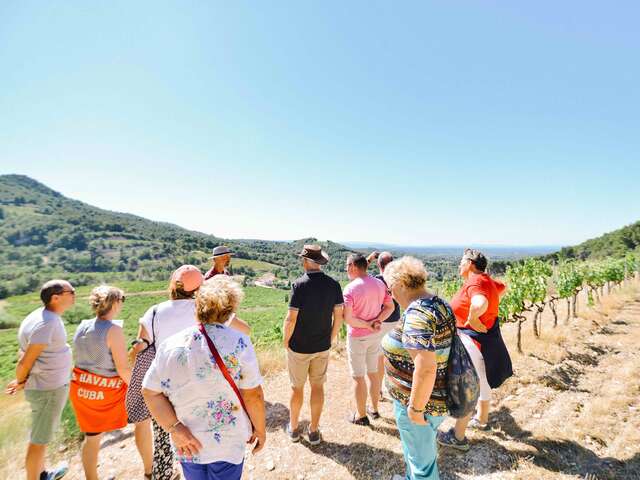 Visite guidée du Clos de Caveau