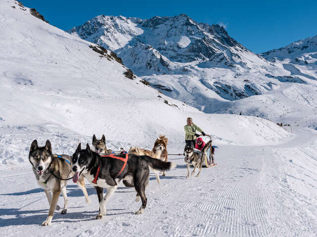 Balade en chiens de traineau sur le Plateau de Retord avec Rêve Nordique
