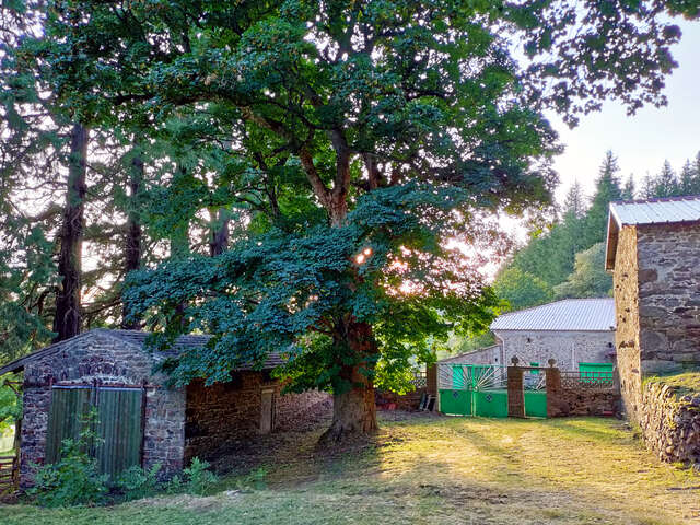 La Miellerie des Séquoias