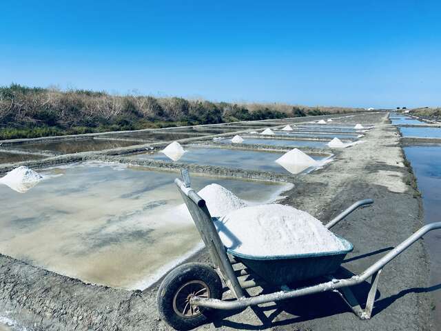 Visite des marais salants du Sel d'Isabelle