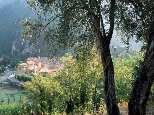 Castle of the Cachiardy of Montfleury