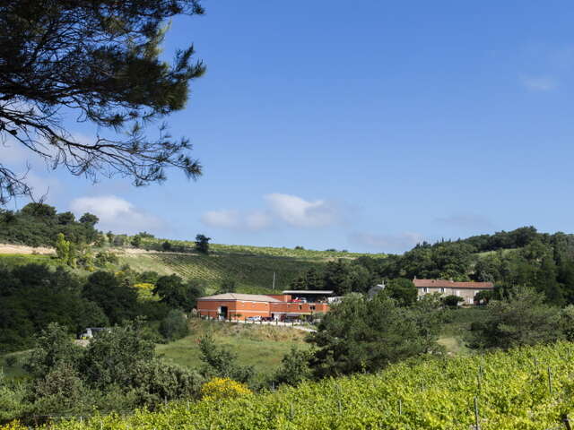 Weinberg de Lucena