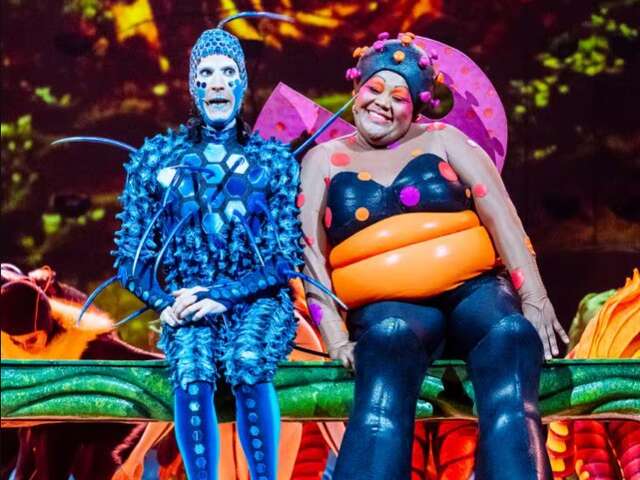 Ovo - Cirque du Soleil