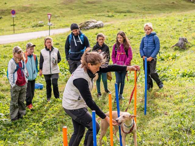 Expérience Mini-Musher