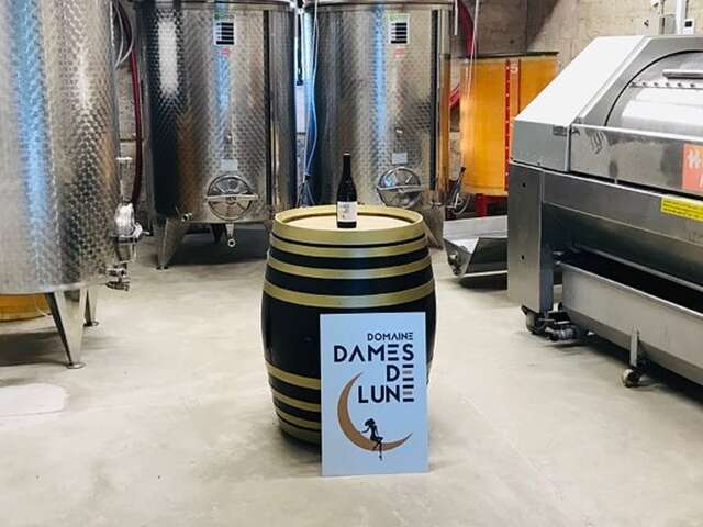 Découverte de la cave de vinification - Domaine Dames de Lune