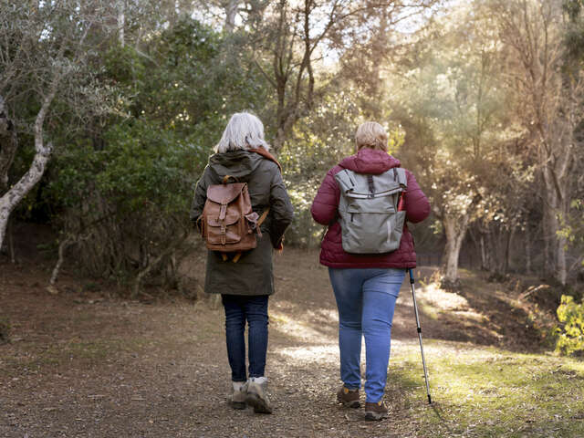 Marche de la première violette