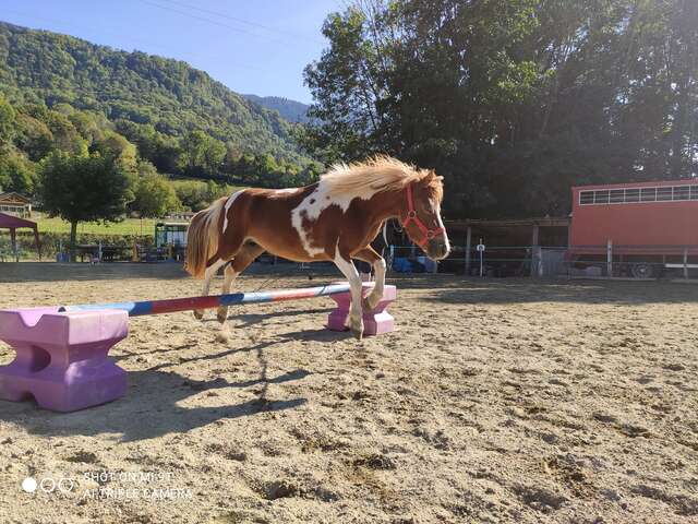 Cours d'équitation cheval et poney au Poney club le  Manège enchanté
