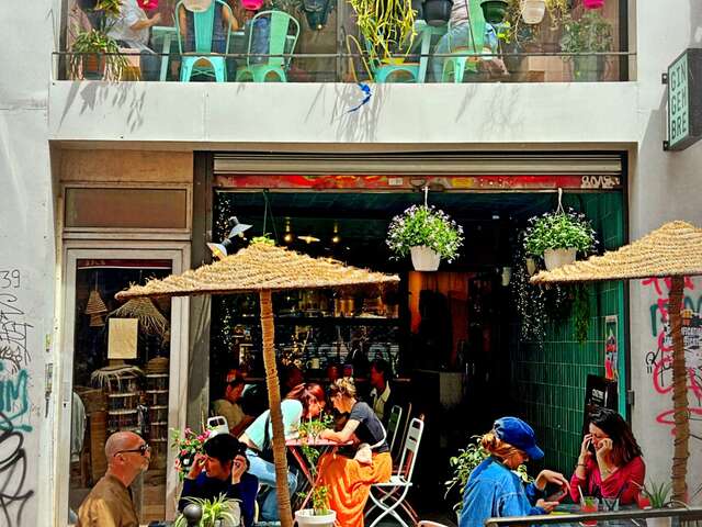 Gingembre Noailles