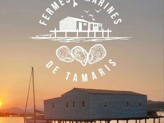 Tamaris marine farms