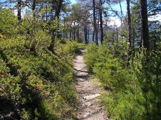 Panacelle en VTT - Guillestre / Risoul