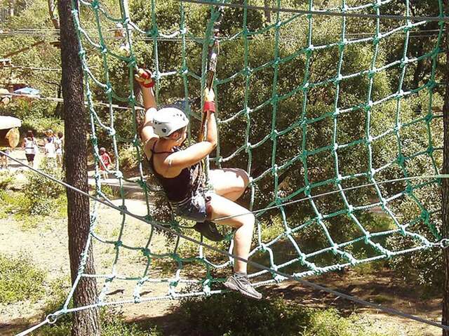 Le Royaume des arbres