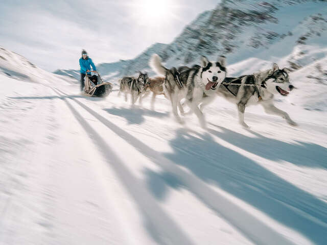 Conduite de traîneaux à chiens avec John