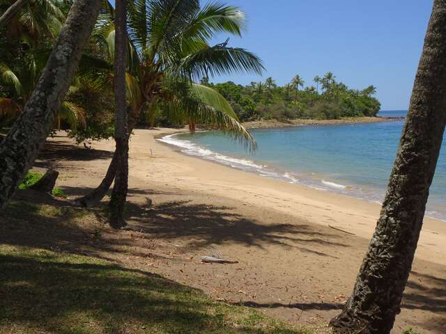 Camping de Moara