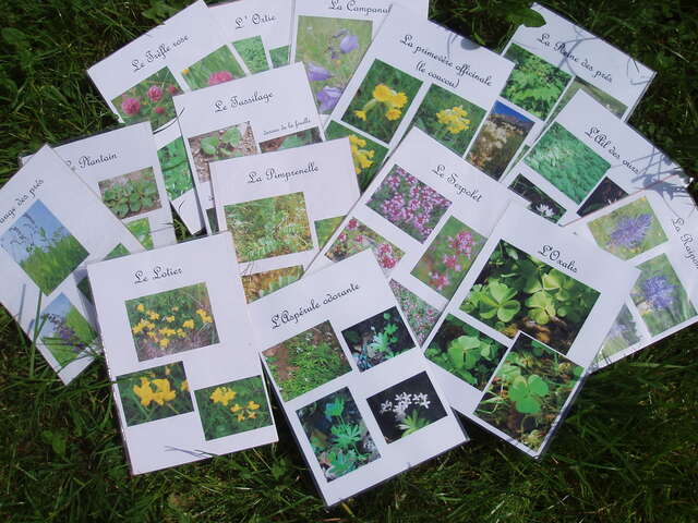 Entre prairies et forêts, histoire de biodiversité