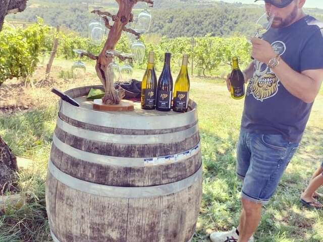 Rando Wine au domaine Perrier