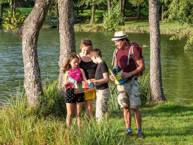 Orienteering trail on foot - Lac de Mirande