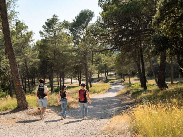 A04 Spaziergang und Naturentdeckung - La Pariisienne