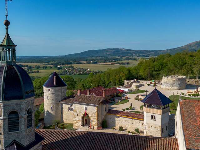 Château de Treffort