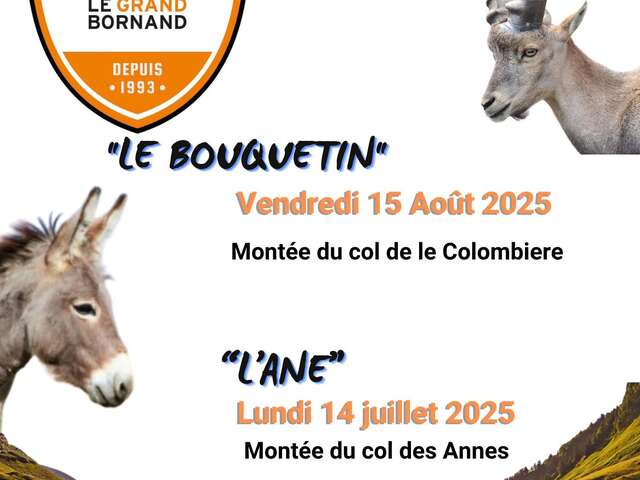 Montée cycliste "L'âne"