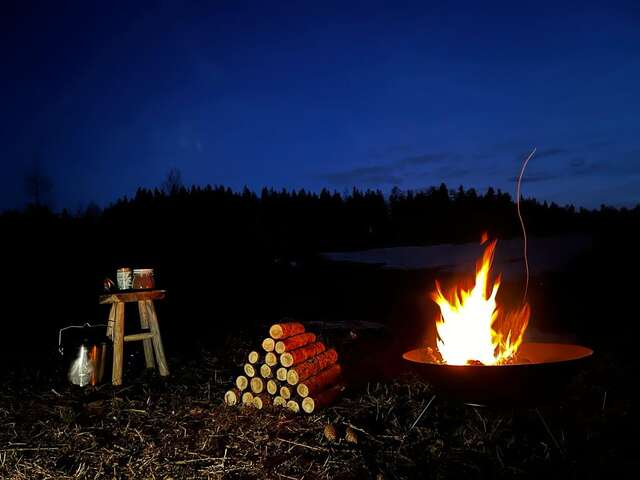 Cani-trappeurs - Travel Dog