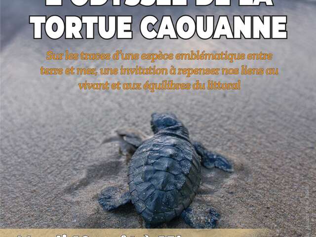 Diaporama interactif : l'Odyssée de la tortue caouanne