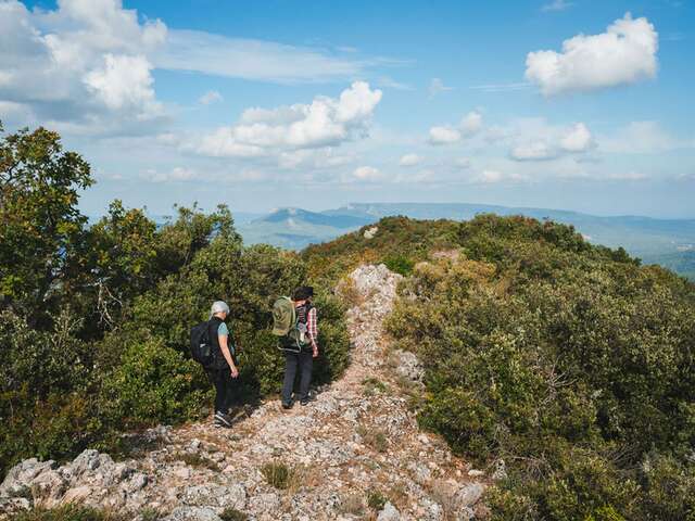 AURIOL - Le tour de la Lare