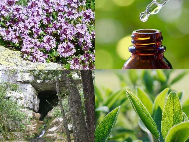 Distillerie du Bois de Païolive "Flor'Ardèche"