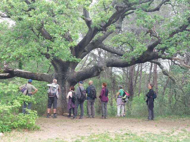 Le vallon de la Badarusse - Journée