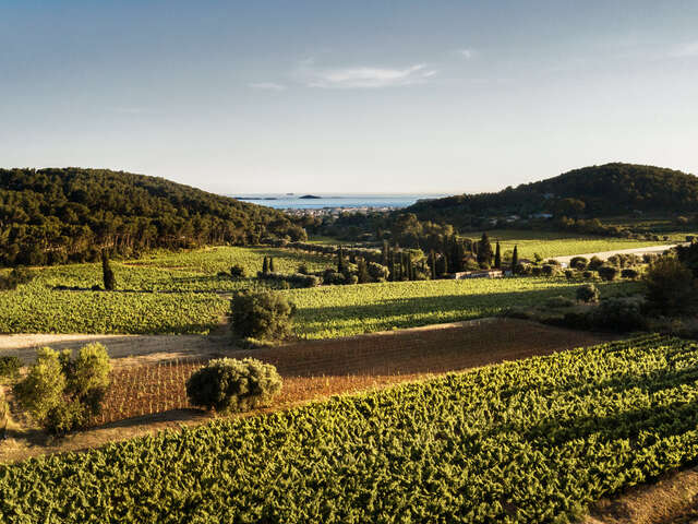 Domaine de Terrebrune