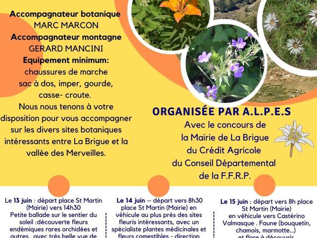 Wanderung botanisches Praktikum