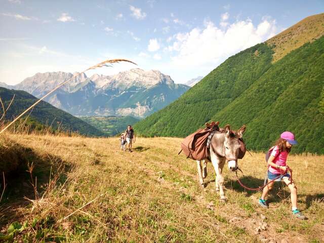Bivouac avec les ânes en famille - Altimood