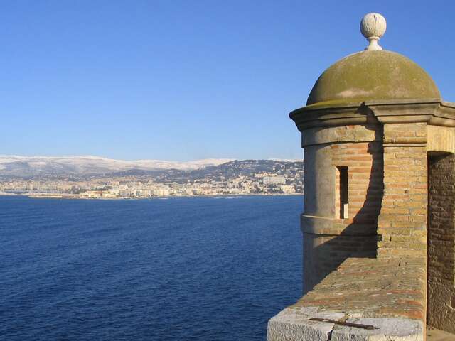 Percer les mystères des écosystèmes marins des îles de Lérins, les pieds au sec !