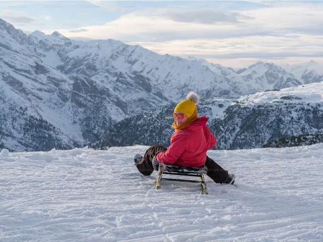 Descente géante en luge