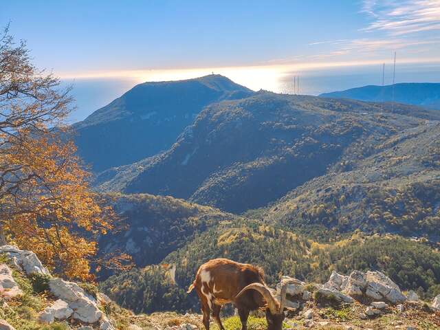 Natura 2000 : Careï Valley - Castillon hills