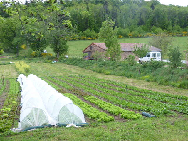 Les jardins du bois joli