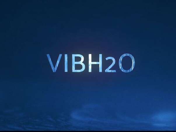 VIBH2O, fheel concepts