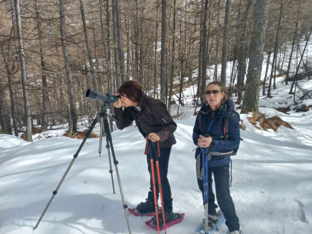 En raquettes à la Médille